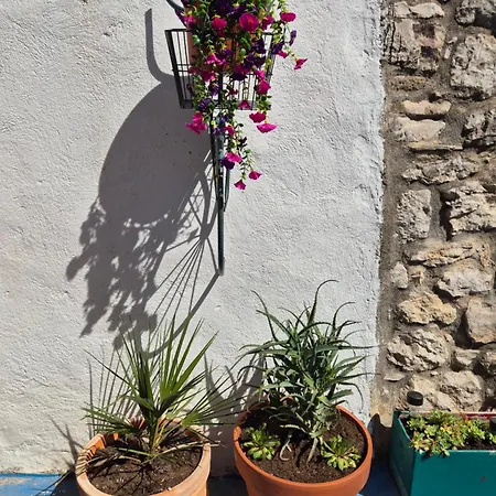 Casa Fritula-sweet With Private Yard Appartement Split